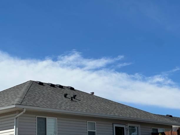 Best Steel Roofing  in Fordoche, LA